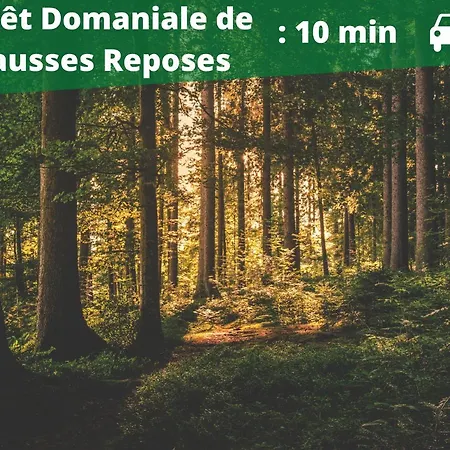 Le Chant De *